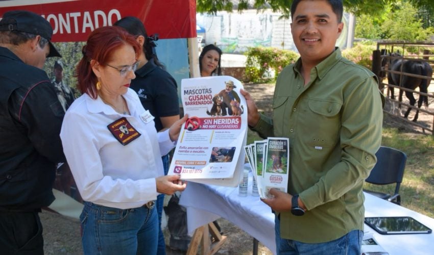 Capacitan a agrupamientos Montado y Canino en prevención del gusano barrenador