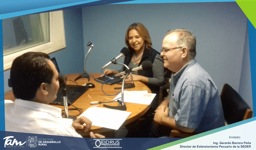 Programa de Radio «Acciones en el Campo Tamaulipeco» Invitado: Lic. Gerardo Barrera Peña, Director de Extensionismo Pecuario de la Secretaría de Desarrollo Rural