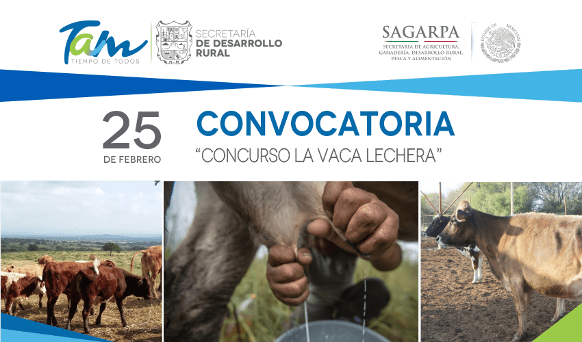 CONVOCATORIA «CONCURSO LA VACA LECHERA»