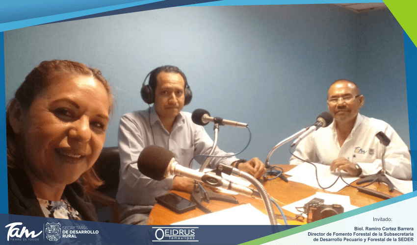 Programa de Radio “Acciones en el Campo Tamaulipeco” Invitado: Biol. Ramiro Cortez Barrera, Director de Fomento Forestal de la Subsecretaría de Desarrollo Pecuario y Forestal de la Secretaría de Desarrollo Rural