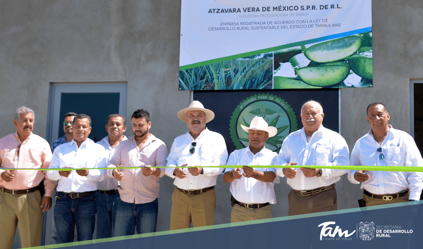 Con planta procesadora de sábila, Gobierno impulsa los Agronegocios