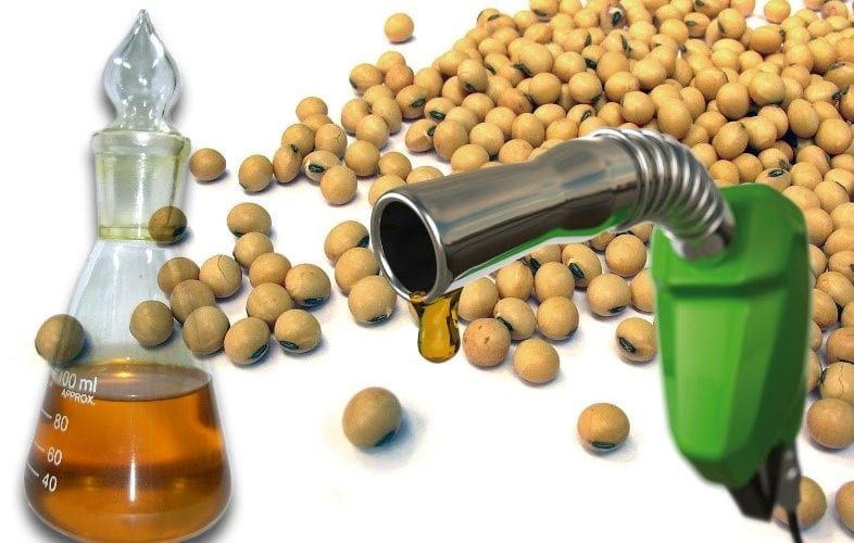 Cultivos Energéticos para Biocombustibles