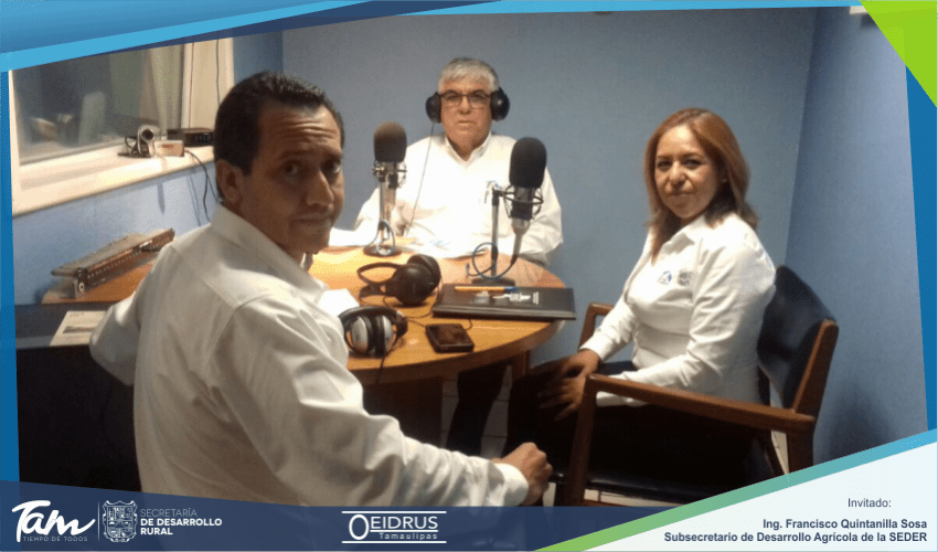 Programa de Radio “Acciones en el Campo Tamaulipeco” Invitado: Ing. Francisco Quintanilla Sosa, Subsecretario de Desarrollo Agrícola de la Secretaría de Desarrollo Rural