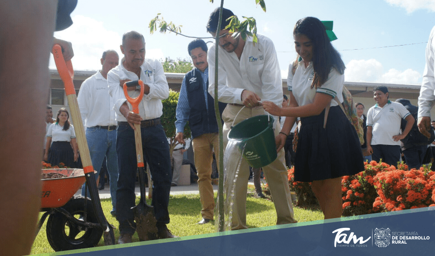Con la siembra de más de mil árboles concluye Campaña de Reforestación