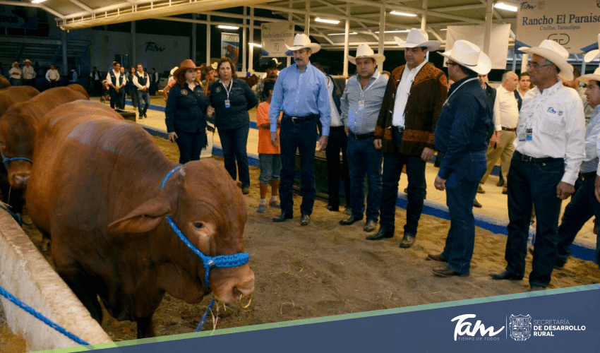 Primera Muestra Nacional de Beefmaster en Recinto Ferial