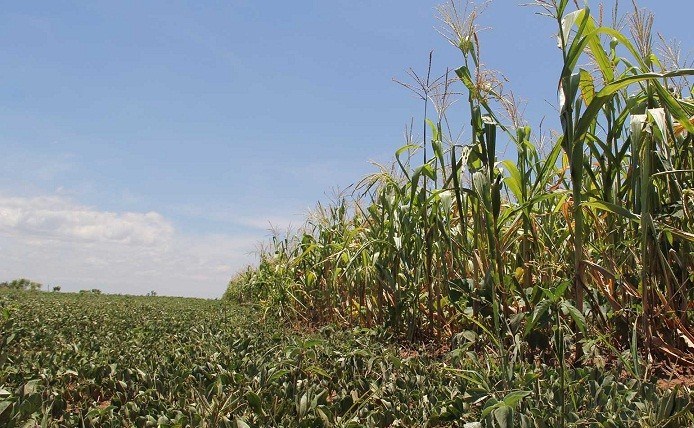 Gobierno del Estado dispersa más de 1.2 mdp pago de Seguros