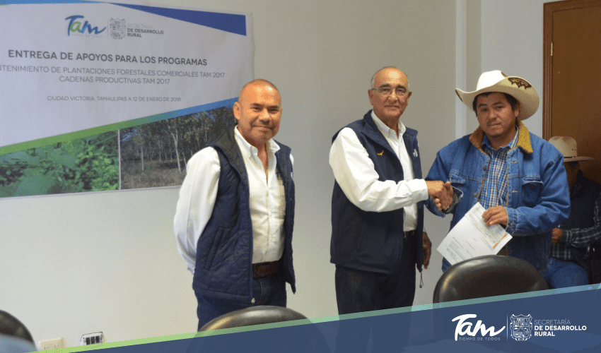Más de 1 MDP destina Gobierno de Tamaulipas para fortalecer al sector forestal