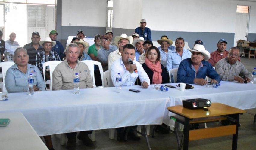 Trampeo masivo para controlar y prevenir la diseminación de la mosca de la fruta