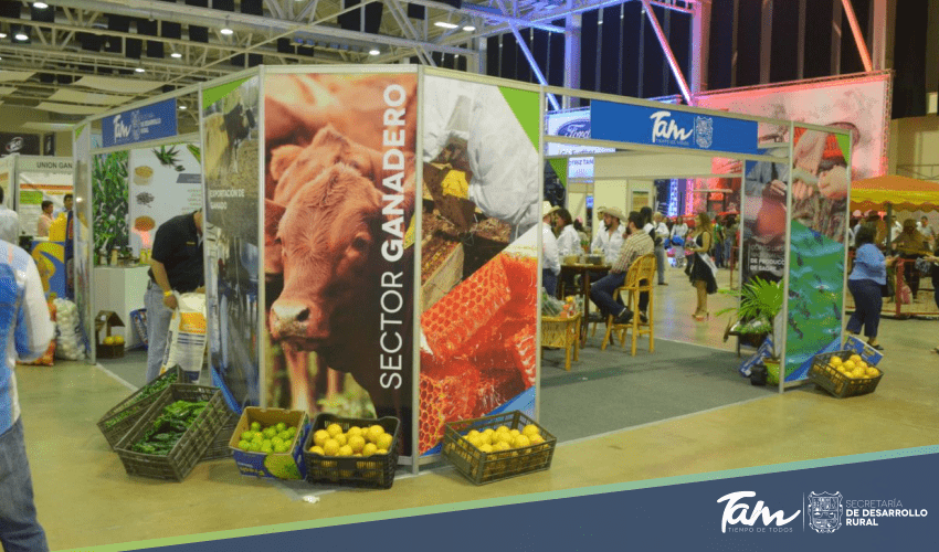 Tampico está listo para el V Congreso Mundial de Ganadería Tropical