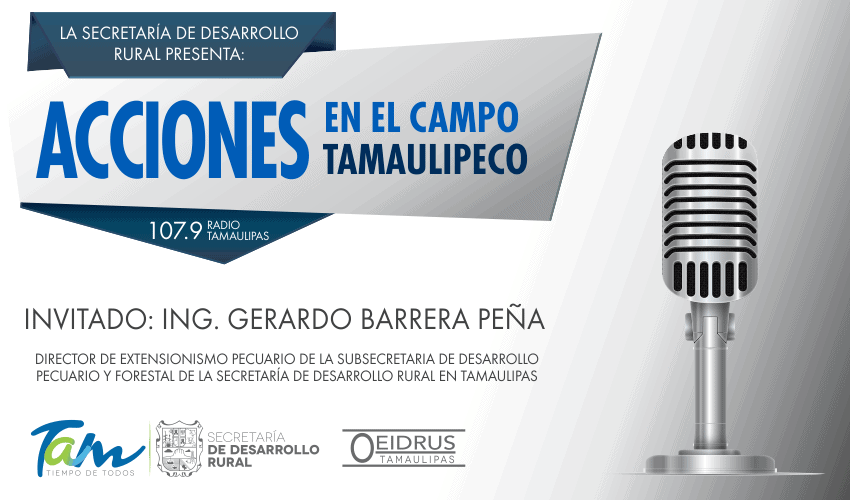 “Acciones en el Campo Tamaulipeco” Invitado: Ing. Gerardo Barrera Peña, Director de Extensionismo Pecuario en la Secretaría de Desarrollo Rural