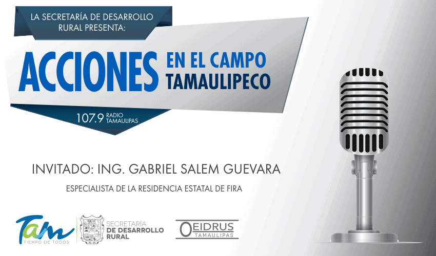 “Acciones en el Campo Tamaulipeco” Invitado: Ing. Gabriel Salem Guevara, Especialista de la Residencia Estatal de FIRA