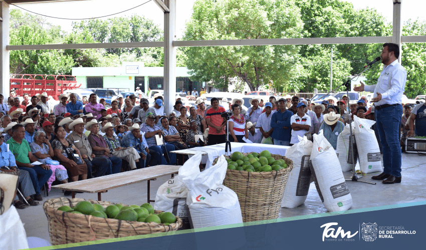 Cerca de 16 MDP invierte el Gobierno de Tamaulipas para apoyar al Sector Citrícola