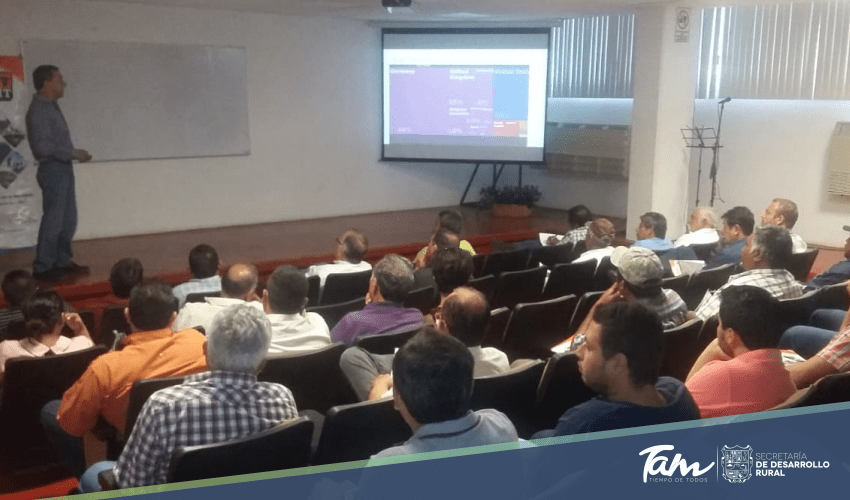 Desarrollo Rural sigue haciendo sinergia para promover y fortalecer el Sector Apícola