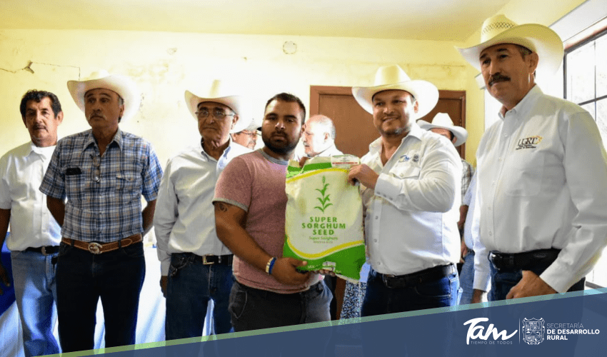 Gobierno del Estado propone el ensilaje y nutrición con forraje de Súper Sorgo
