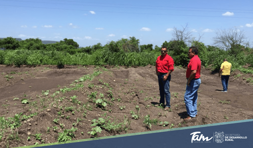 A punto de iniciar la construcción de la Sala de Extracción de Miel en Llera, Tam.