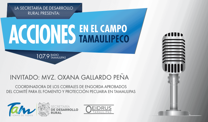 Programa “Acciones en el Campo Tamaulipeco” Tema: Corrales de engorda aprobados