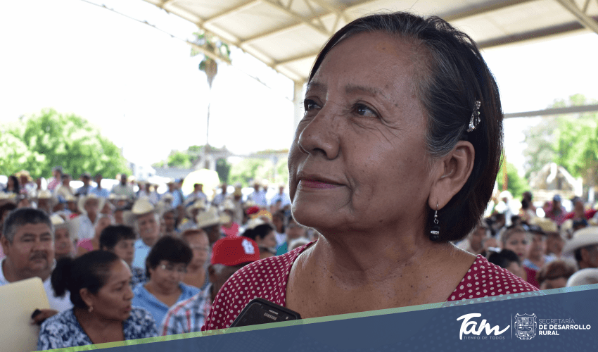 Productores citrícolas agradecen apoyo del Gobierno del Estado