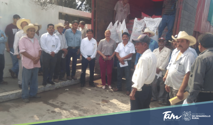 Productores de los Distritos de El Mante y González recibieron 114.3 ton de semilla de calidad