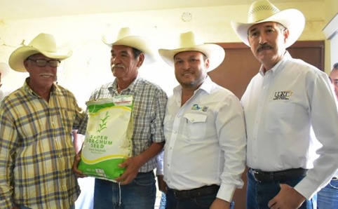 Agricultores de seis Distritos de Desarrollo Rural recibieron 11.7 ton de semilla de súper sorgo