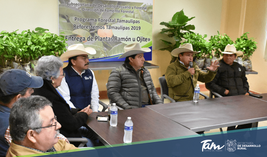 Gobierno de Tamaulipas busca esquemas de apoyo ante la falta de liquidez en el campo