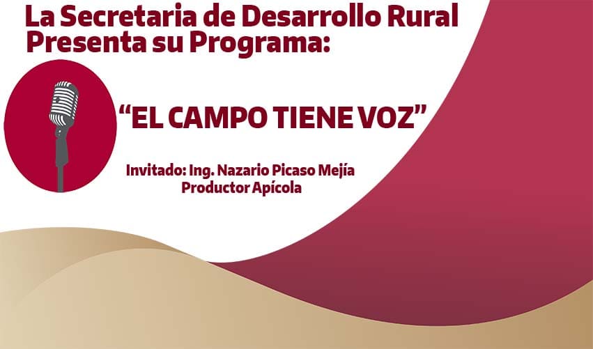 TEMA: APICULTURA