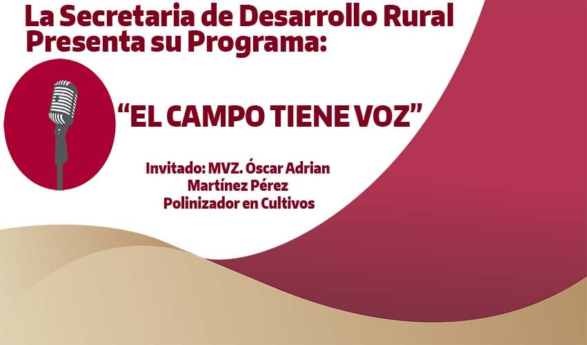 TEMA: POLINIZACION CON ABEJAS EN CULTIVOS