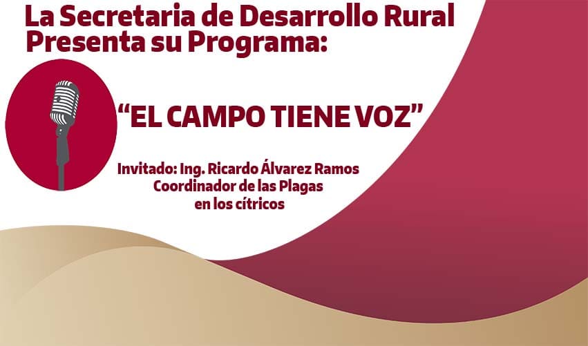TEMA: SECTOR CITRICOLA