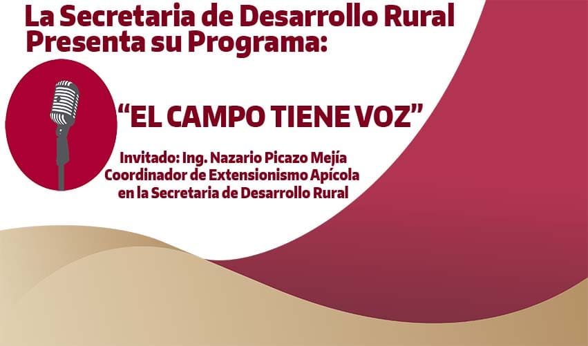 TEMA: EL DIA NACIONAL DE LAS ABEJAS EN MEXICO