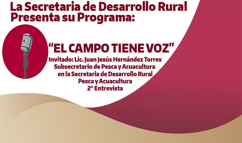 TEMA: SECTOR PESQUERO EN TAMAULIPAS SEGUNDA PARTE