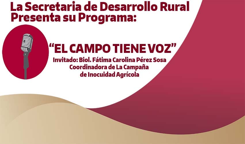 TEMA: CAMPO LIMPIO