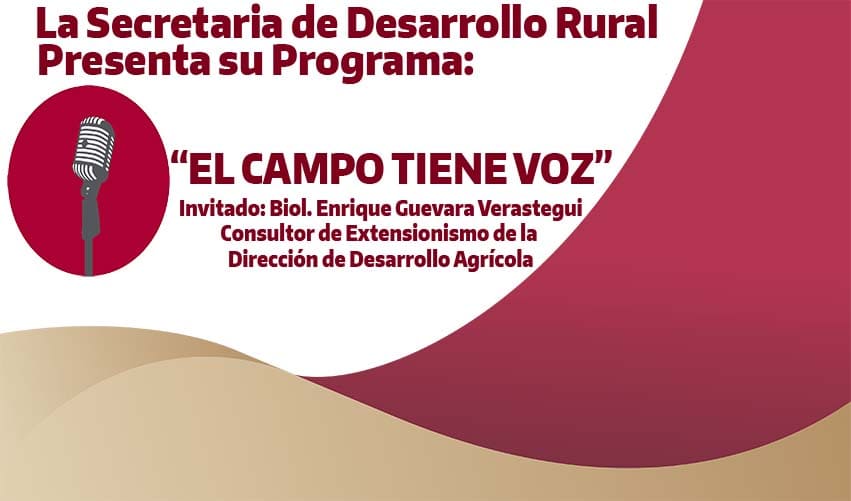 TEMA: BIOINSUMOS