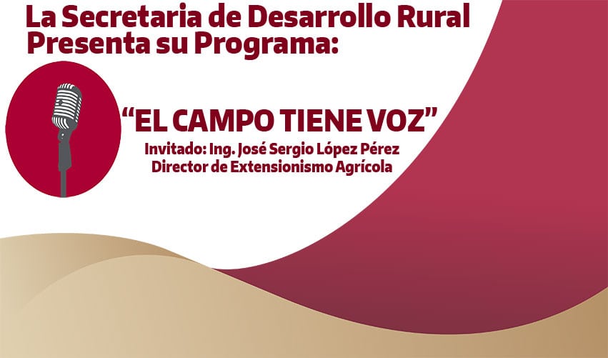 TEMA: EXTENSIONISMO AGRICOLA