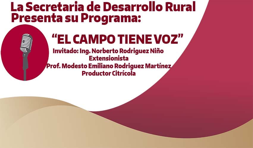 TEMA: SECTOR AGRICOLA Y EXTENSIONISMO