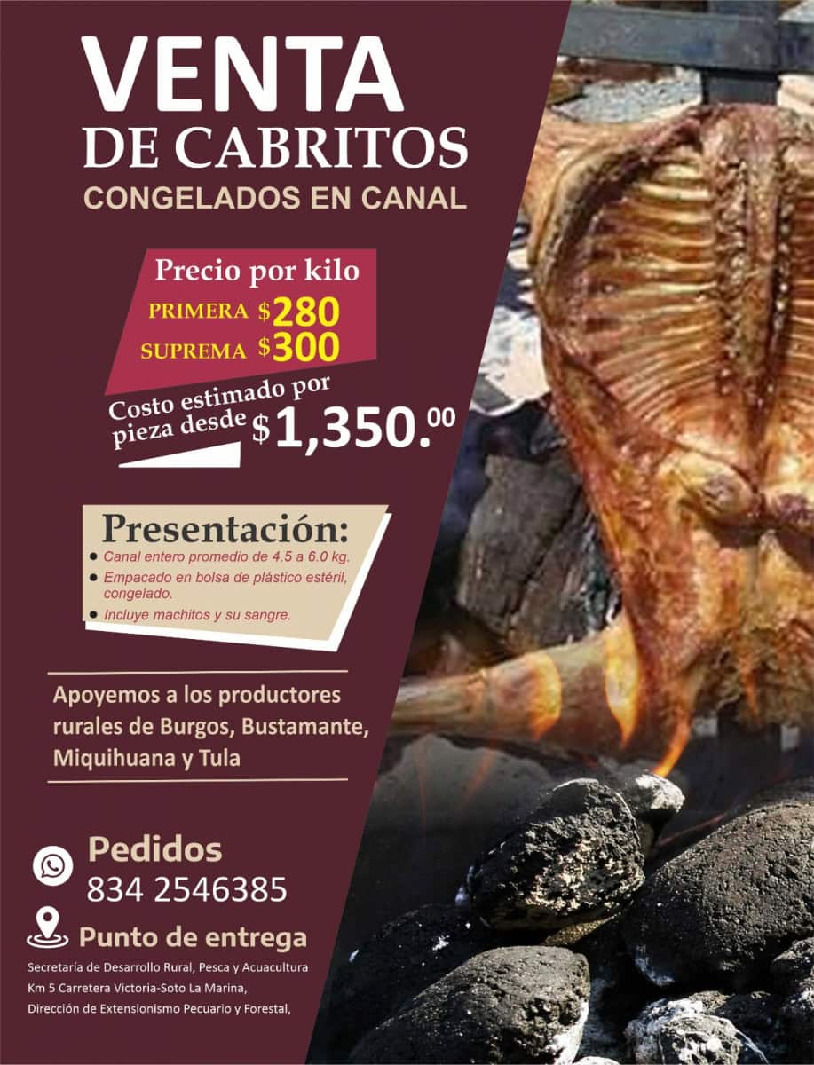 Venta de cabritos