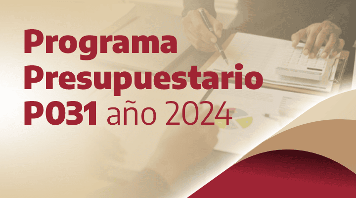 Programa Presupuestario P031 año 2024