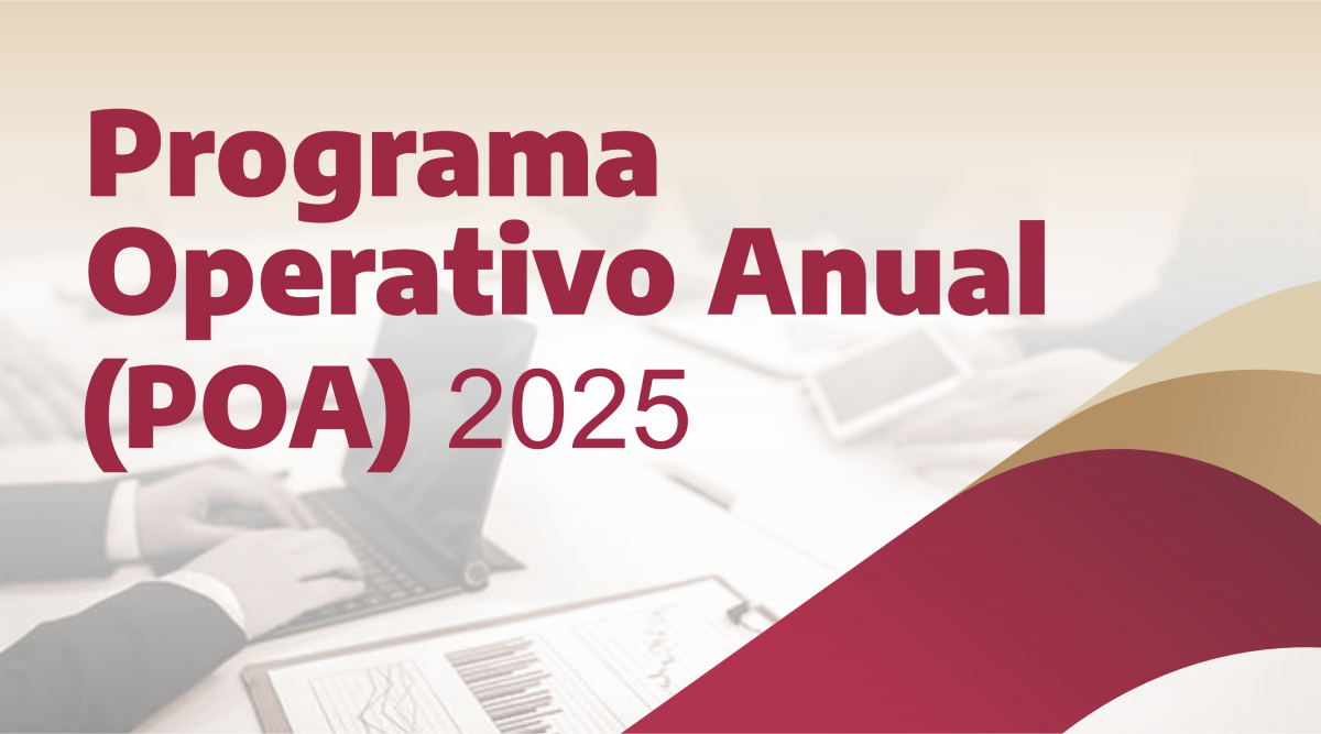 Programa Operativo Anual (POA) 2025