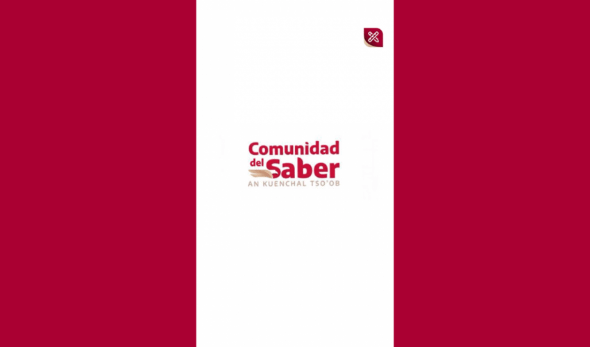 Reels: Comunidad del Saber