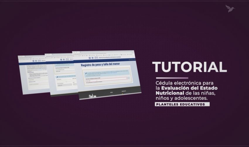 Encuesta de Evaluación Nutricional