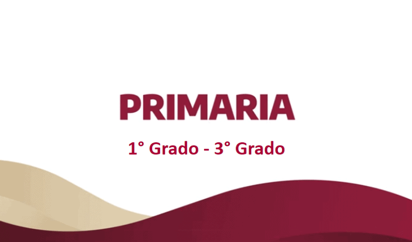 Paquetes de útiles escolares – 1° a 3° grado Primaria