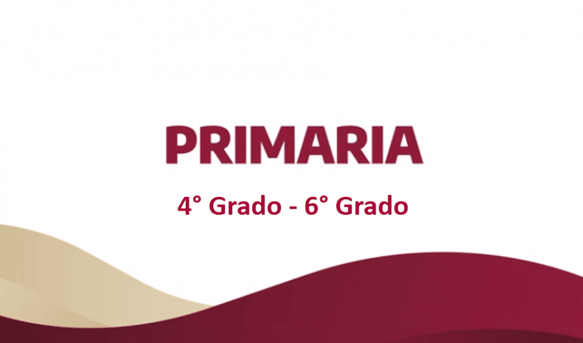 Paquetes de útiles escolares – 4° a 6° grado Primaria