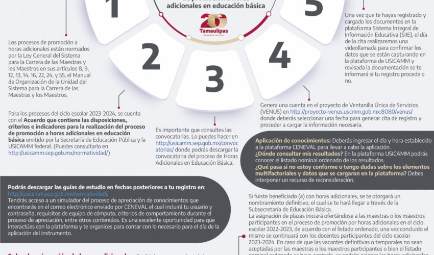 Procesos de promoción a horas adicionales en Educación Básica