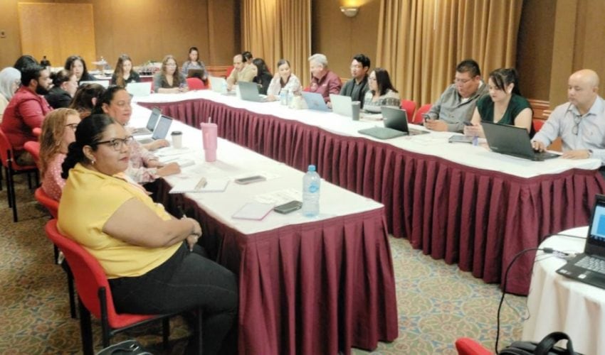 Cursos de Capacitación y Habilitación Docente