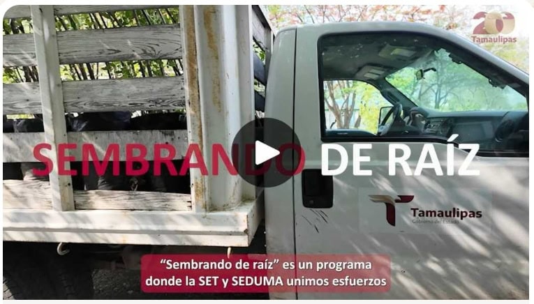 Video: Programa ‘Sembrando de raíz: semillas de hoy, raíces para siempre’