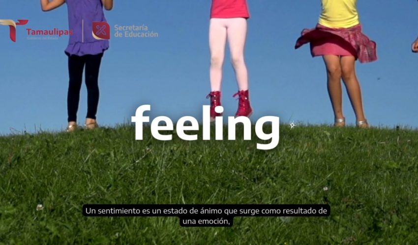 Video: Coordinación de Inglés, denominado “Feelings and emotions”