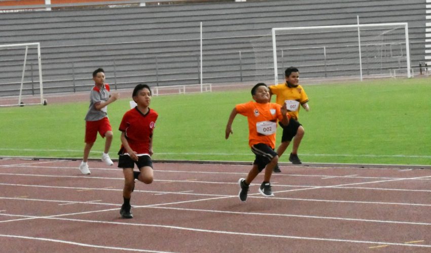 Juegos Deportivos Estatales Escolares de la Educación Básica 2024-2025