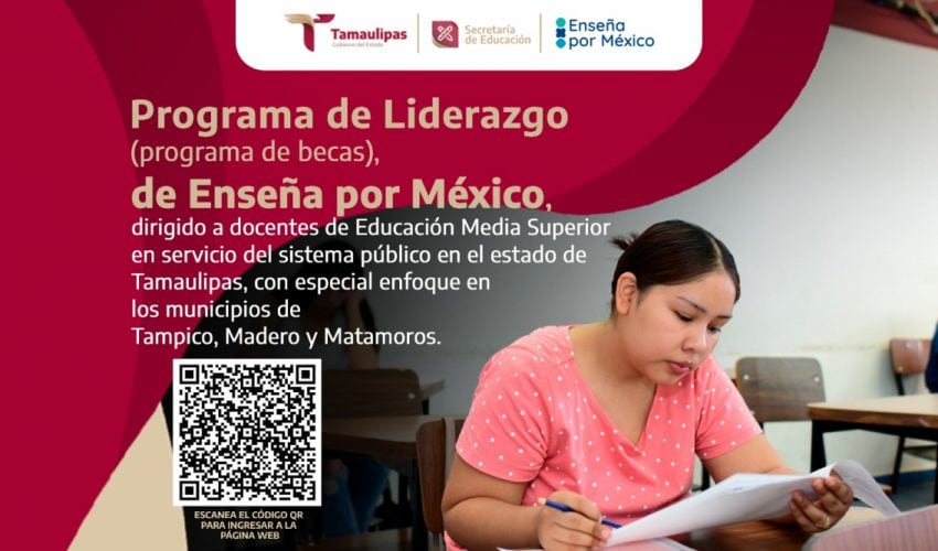 Programa de Liderazgo (programa de becas) de Enseña por México