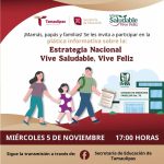 Sesión informativa de la Estrategia Vive Saludable, Vive Feliz