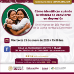 Seminario Web CONASAMA – SEP