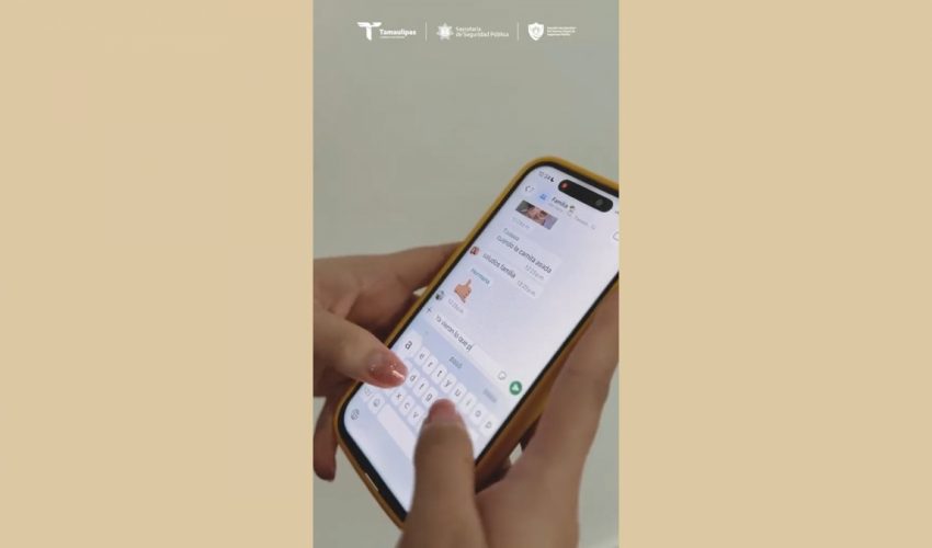 Reel: La información oficial brinda certeza