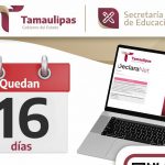 Declaración Patrimonial